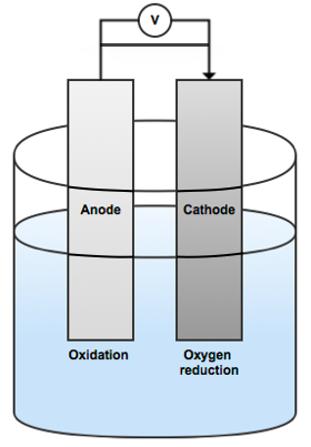 电极和电解质中氧化还原以及氧气减少演示图。