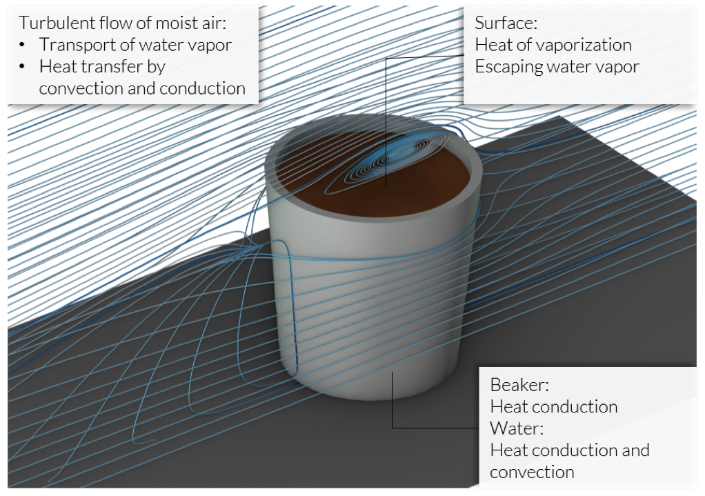 A sketch of the effects that cause cooling in a coffee cup.