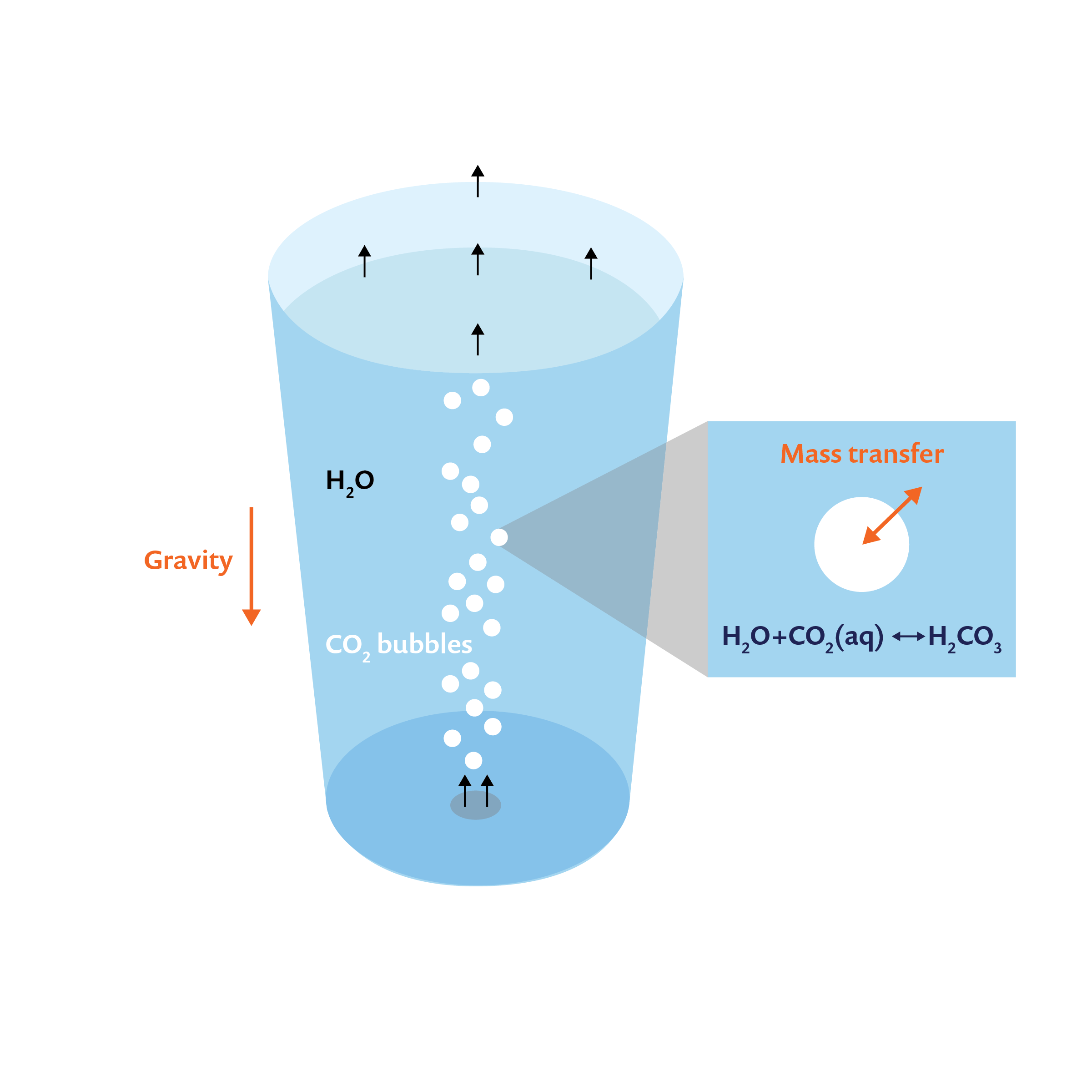 解释一杯汽水的碳酸化过程的图表。