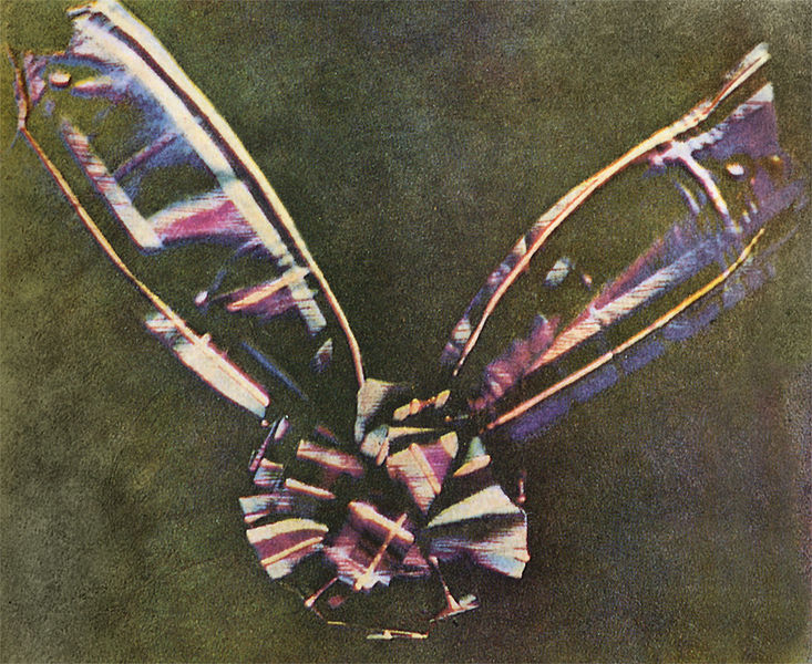 An image of the first color photograph ever taken.