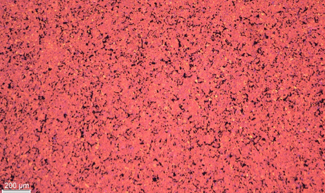 A sample of a porous material with a low gas diffusivity.