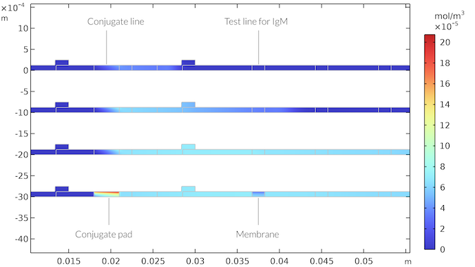 显示 IgMC 种类的浓度场随时间变化的曲线图，在快速检测测试的四个不同时间的结合垫和膜中，并在彩虹色表中显示