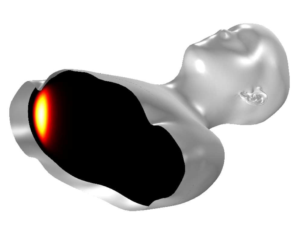 A simulation of a head and torso in COMSOL Multiphysics