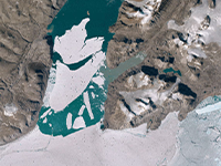 A satellite image of a floating portion of the Nioghalvfjerdsbræ glacier calved into many separate icebergs.