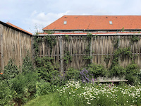 An urban green screen with a meadow in the foreground.