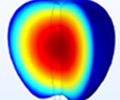 Eine Nahansicht der inneren Temperaturverteilung in einem Apfel, dargestellt in der Rainbow-Farbtabelle.