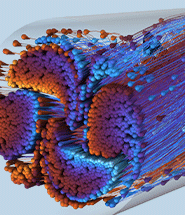 A close-up view of a laminar static mixer model showing the particle trajectories.