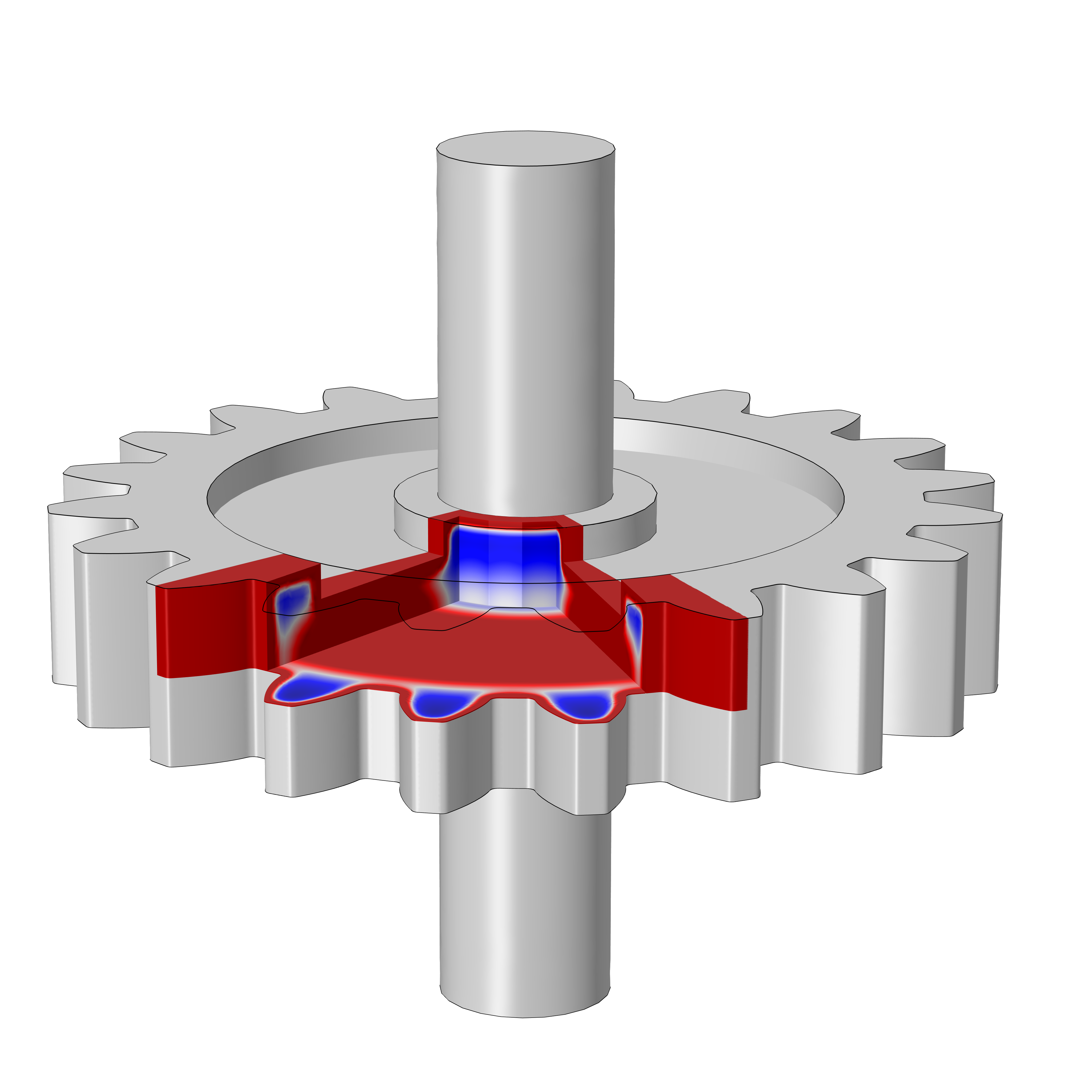 A gray metal spur gear model with a small slice shown in red, white, and blue.