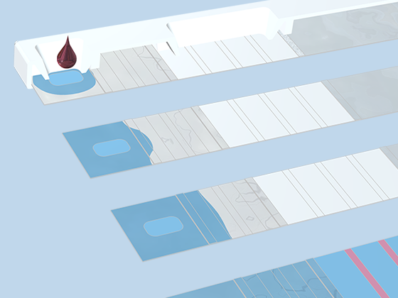 四个快速检测试纸模型的局部放大图，其中红色液滴进入顶部试纸。