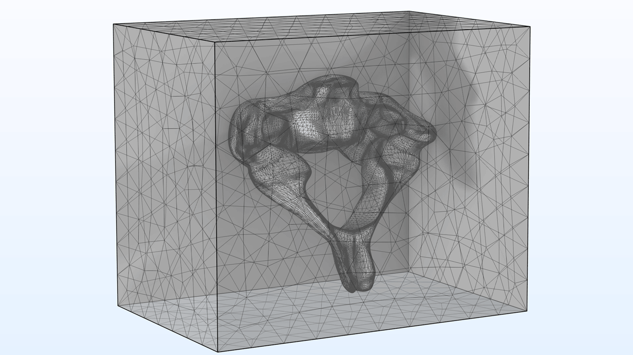 A meshed geometry block with the vertebra mesh inside.