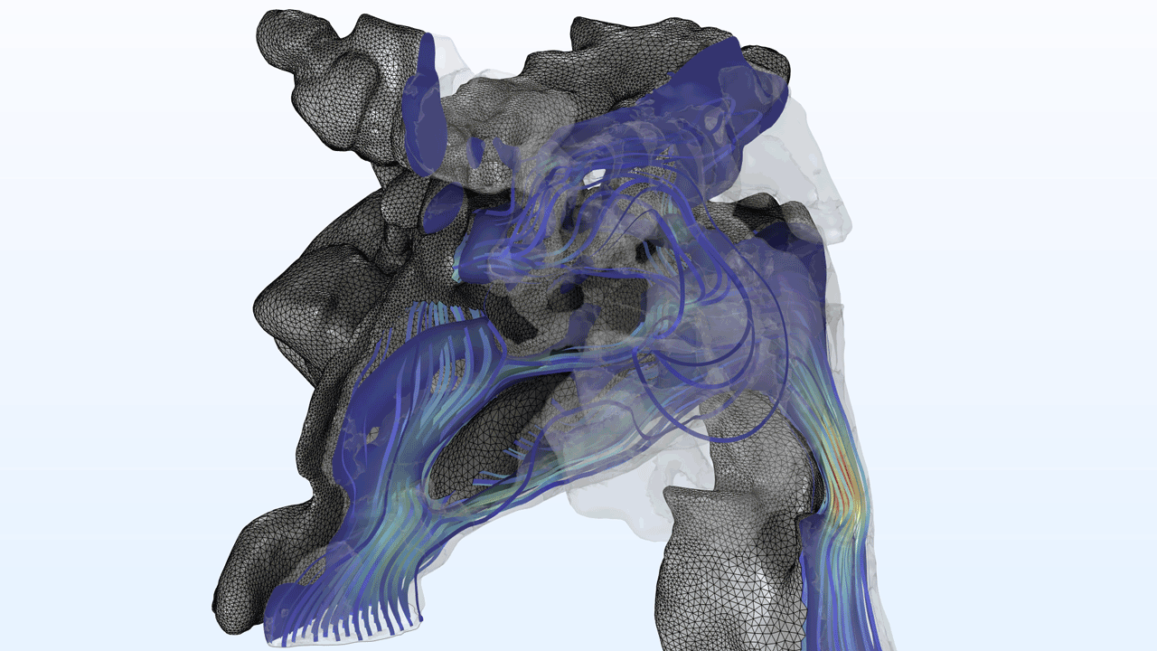 A model of a human airway showing the mesh and streamlines in the Rainbow Light color table.
