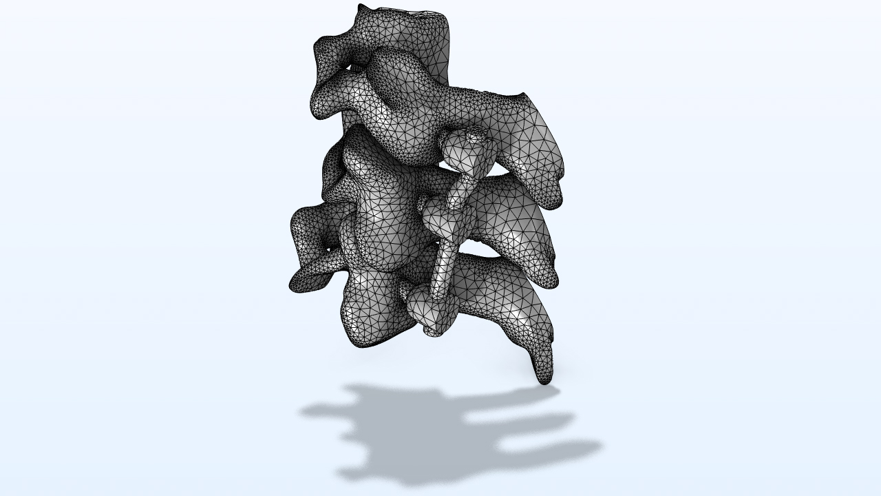 Three vertebrae models showing the mesh.
