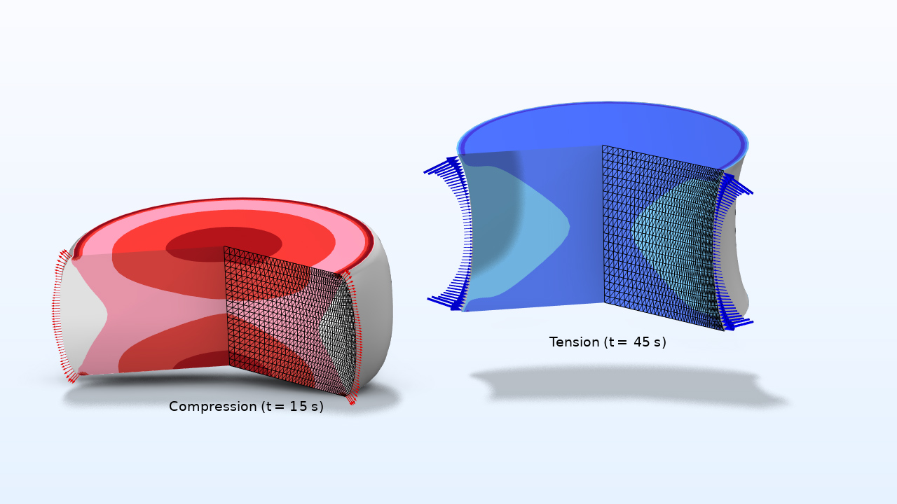 Results plots showing the compression in red and tension in blue for a large-strain poroviscoelastic brain tissue model.