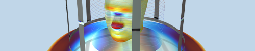 A model of a human head phantom inside a birdcage coil inside an MRI system.