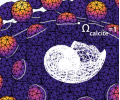 A zoomed in simulation image of a shell amid calcite grains in the seafloor sediment. The color scale shows that the grains nearest the pteropod dissolve slower.