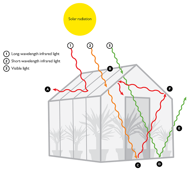 Greenhouse effect: How a greenhouse works