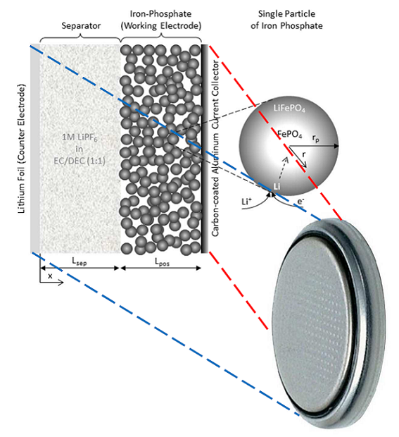 Macroscopic vs. Microscopic: Model of the iron-phosphate cathode