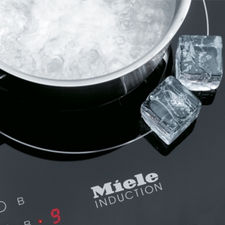 Induction stove top