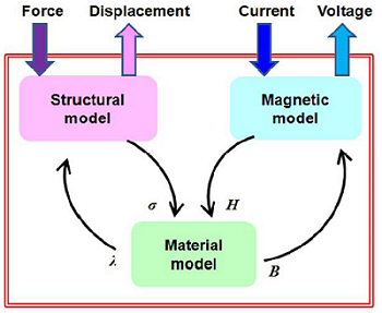 Simulating the magnetic and structural behavior of a magnetostrictive material