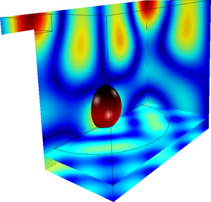 Location of the standing waves in a microwave heating simulation