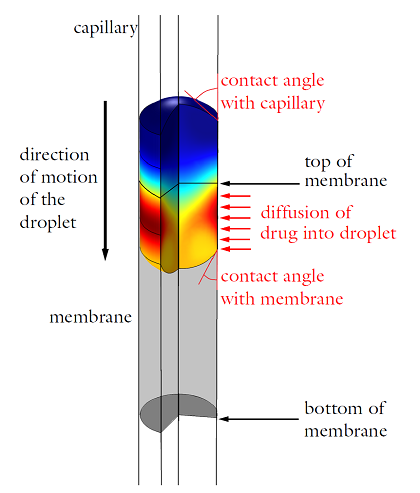 The operating principle of the drug delivery device