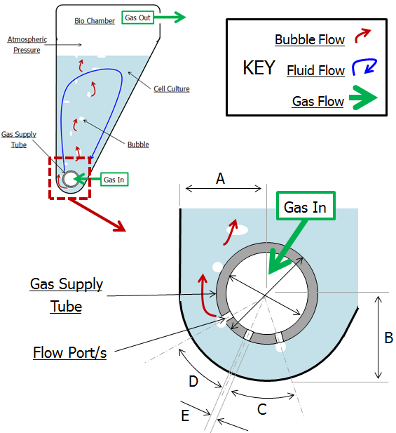 A schematic of bioreator and parameters