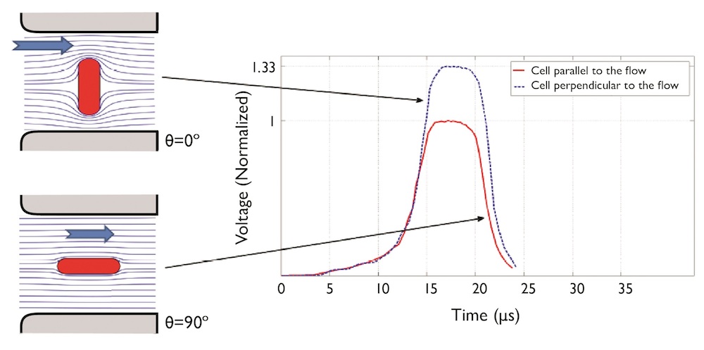 Plot showing the electric field distribution through the aperture.