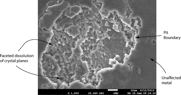 تصویری که یک میکروگراف الکترونی را نشان می دهد.
