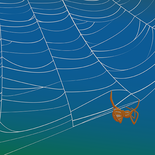 Spider silk graphic. Created by COMSOL, Inc.