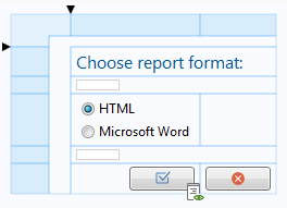 图像展示了报告格式的选择。