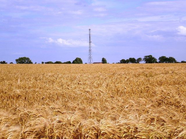 This photograph shows an antenna in an open field.