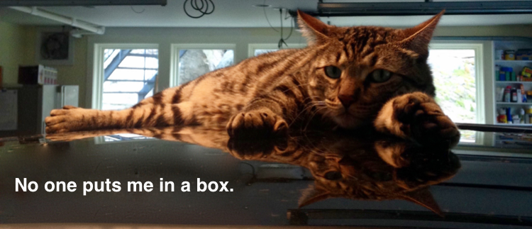 Schrödinger's cat is a popular thought experiment.