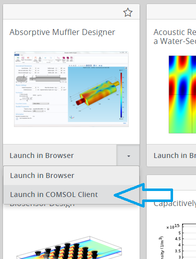 A screenshot showing the Launch in COMSOL Client option.