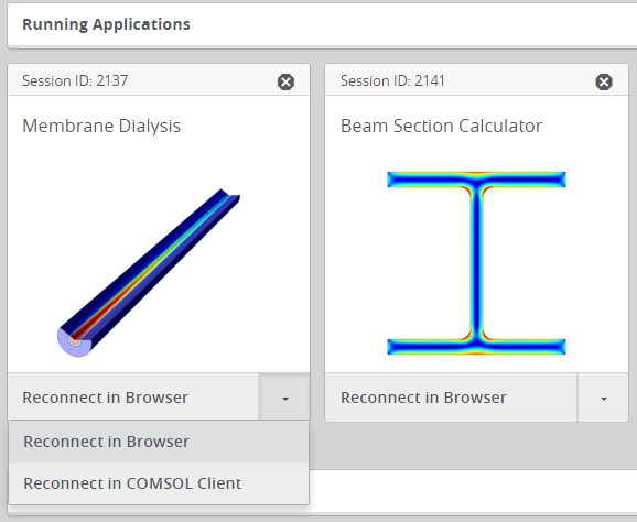 A screenshot of the options to reconnect to a running app on COMSOL Server™.