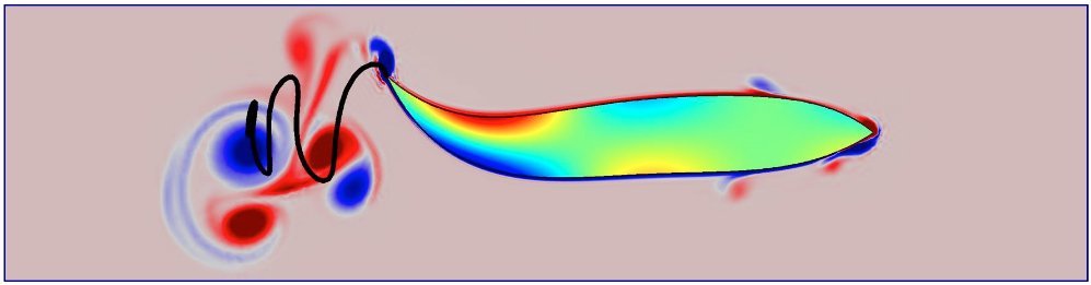 An image showing the vortices and wake of a swimming fish in COMSOL Multiphysics.