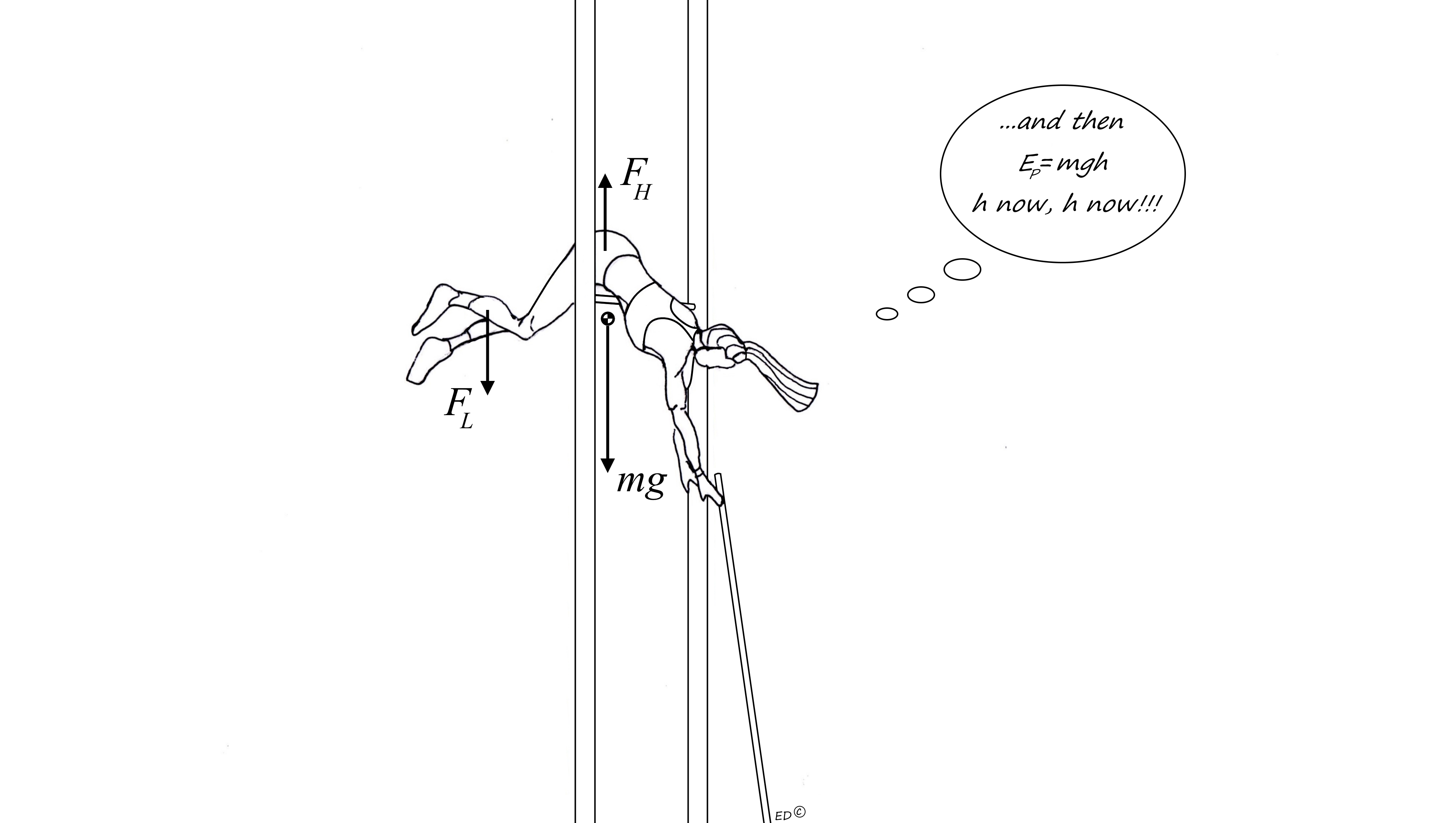 Pole Vault Pole Chart