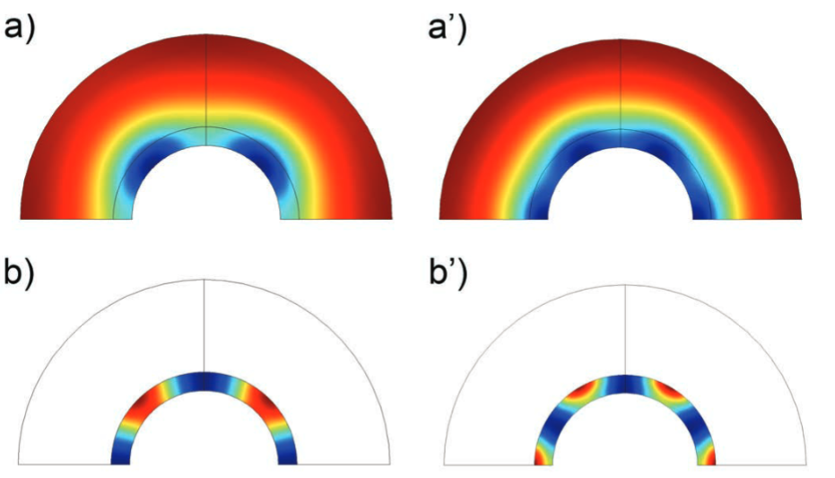 Figures depicting a simple Turing-type model in COMSOL Multiphysics.