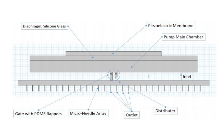 A 2D schematic illustrating a micropump model's setup.