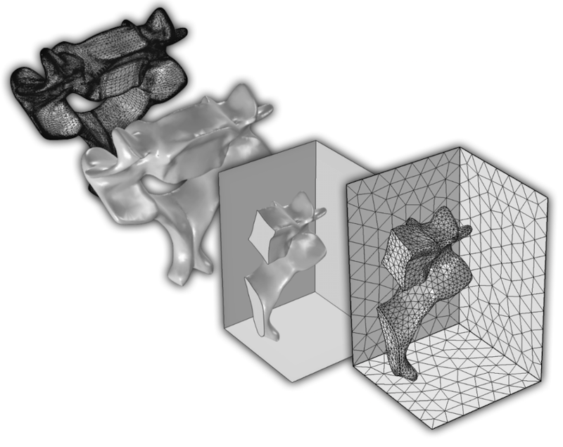 Image showing an STL file of a vertebra imported into COMSOL Multiphysics.