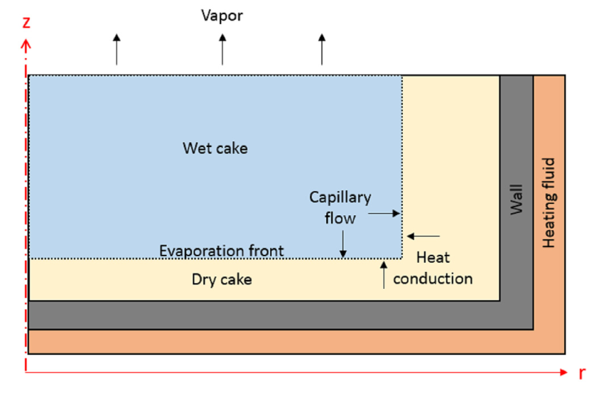 Schematic displaying an axisymmetric Nutsche filter dryer and the vacuum drying process.