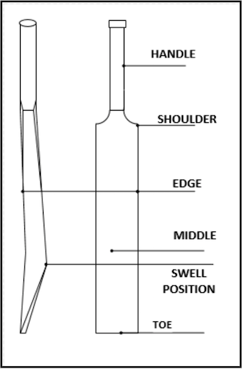 A schematic of a cricket bat.