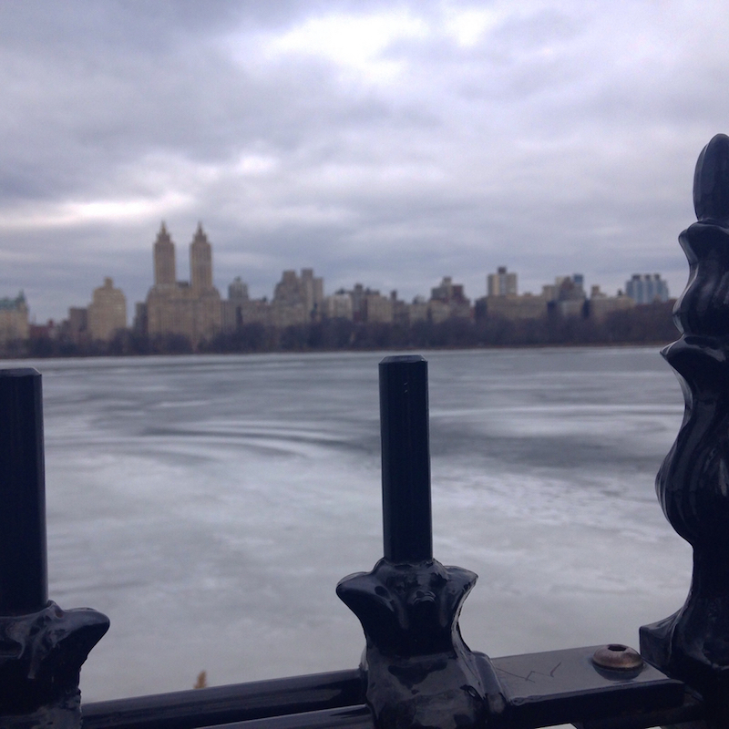 纽约中央公园的一个结冰的湖
