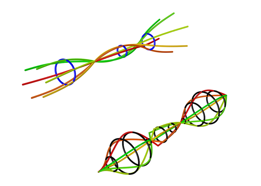 Example of Whirl plots available in the Rotordynamics Module.