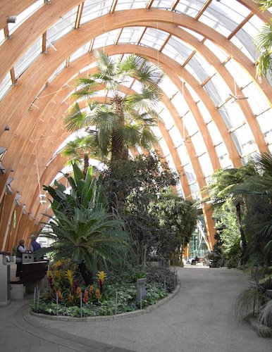 An indoor garden with the structure of an inverted catenary curve.