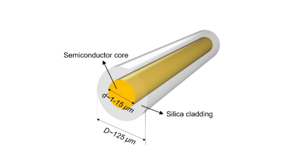 A schematic of a multimaterial optical fiber.