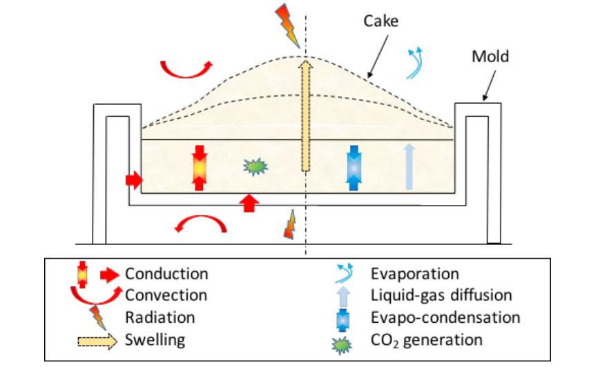 A schematic of the physical phenomena that take place while a cake bakes.