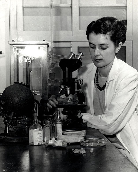 A photograph of an FDA employee testing early penicillin samples.