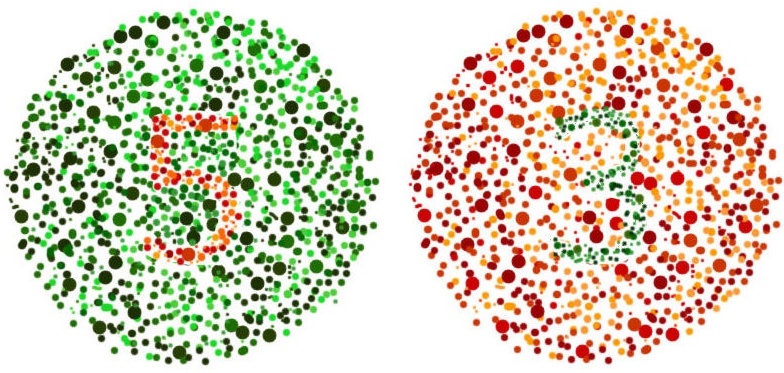 An image showing two pseudoisochromatic plates used to test color vision deficiency.