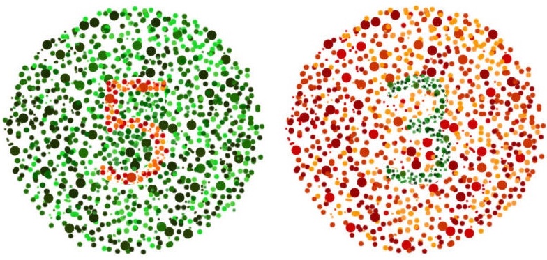 Color Blind Test: 🌈 Can You Pass A Color Blind Test?