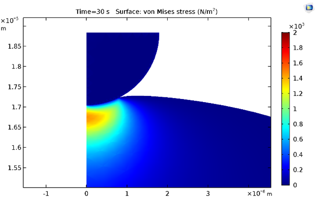 The von Mises stress in a cell at 30 seconds.